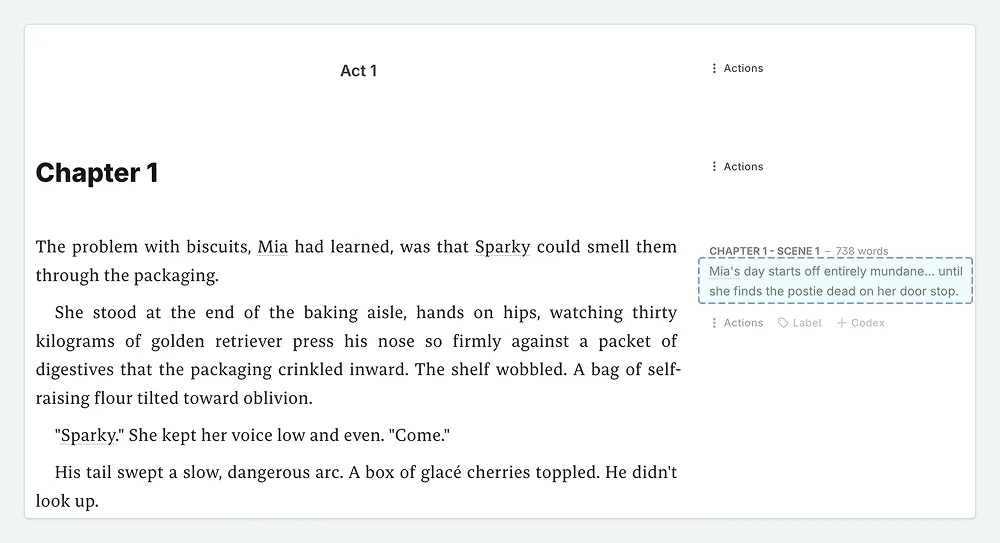 image - editing a scene summary in Write
