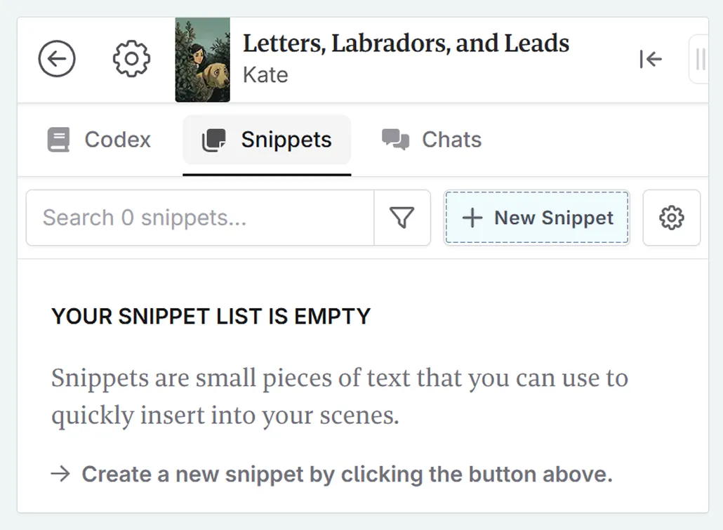 a zoom in on the top left of the interface, on the snippets tab, with the + New Snippet highlighted