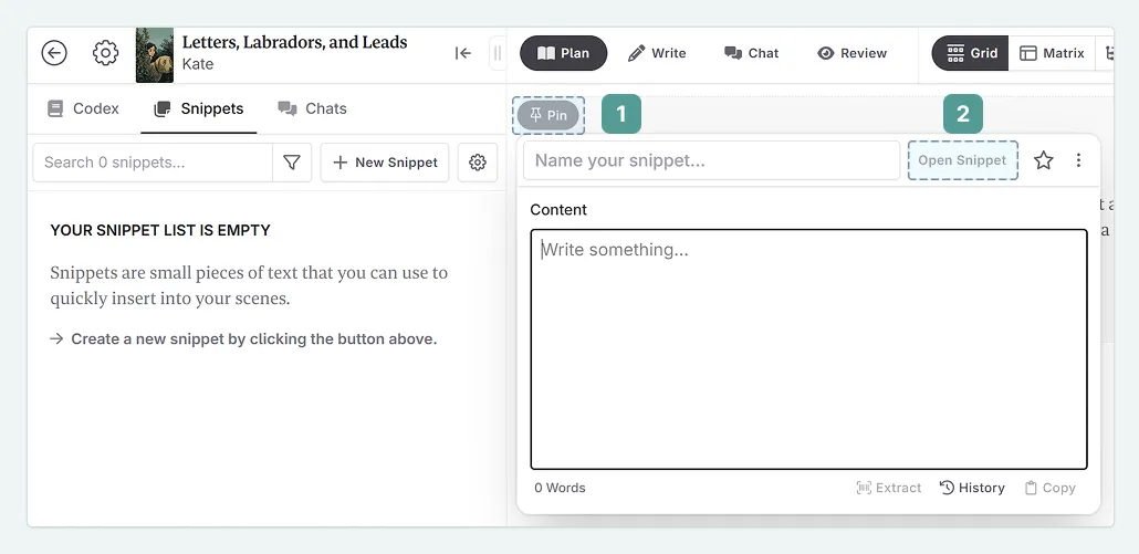 a zoom in on the top left of the interface, with an open (empty) Snippet. The pin button and the open Snippet buttons are highlighted