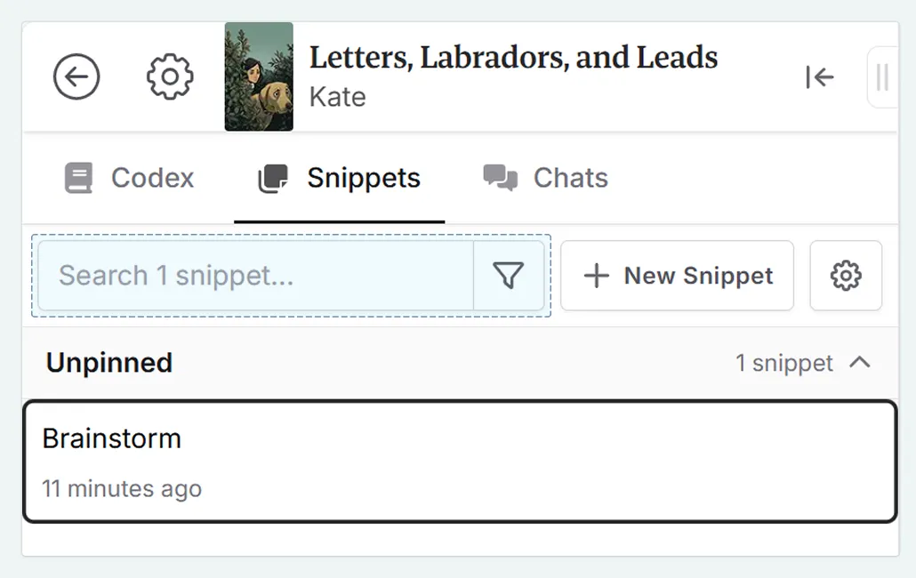 a zoom in of the top left of the interface, in the Snippets tab, with the search bar highlighted
