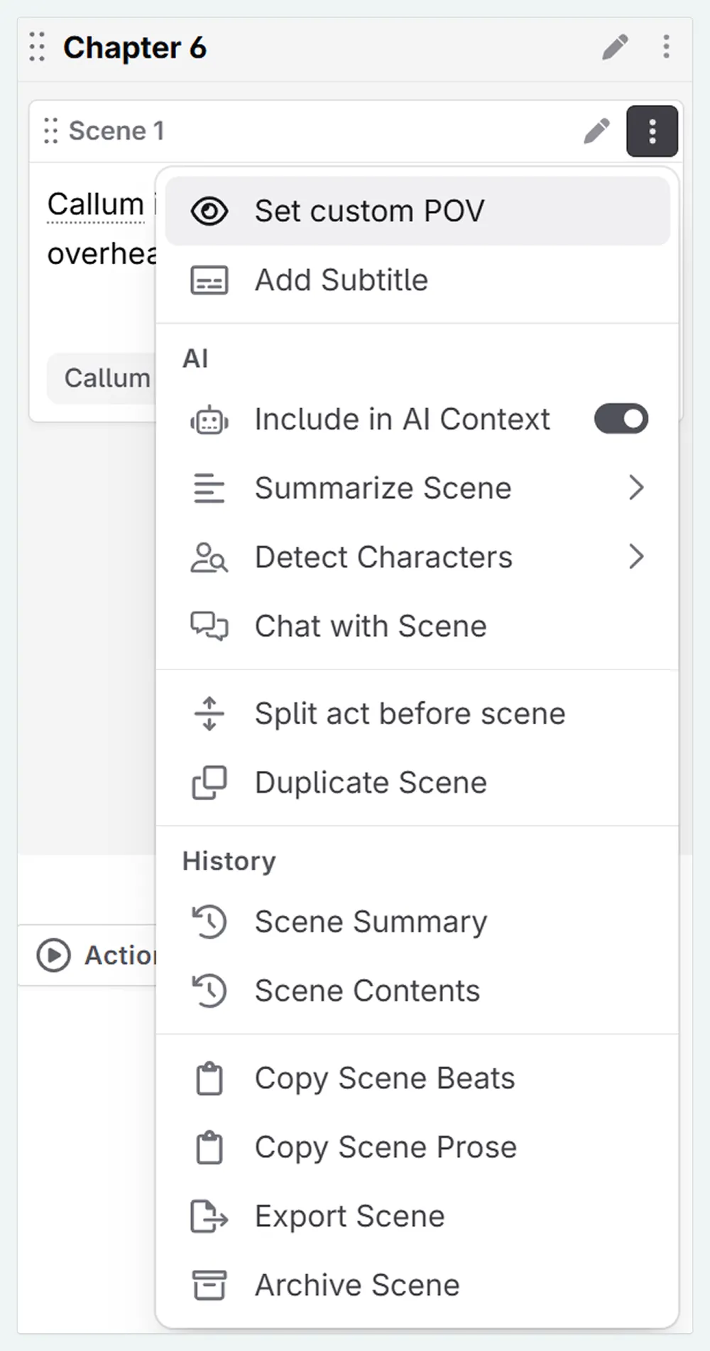 a zoom in of a chapter in the plan interface. The actions menu is selected, and set custom pov highlighted.