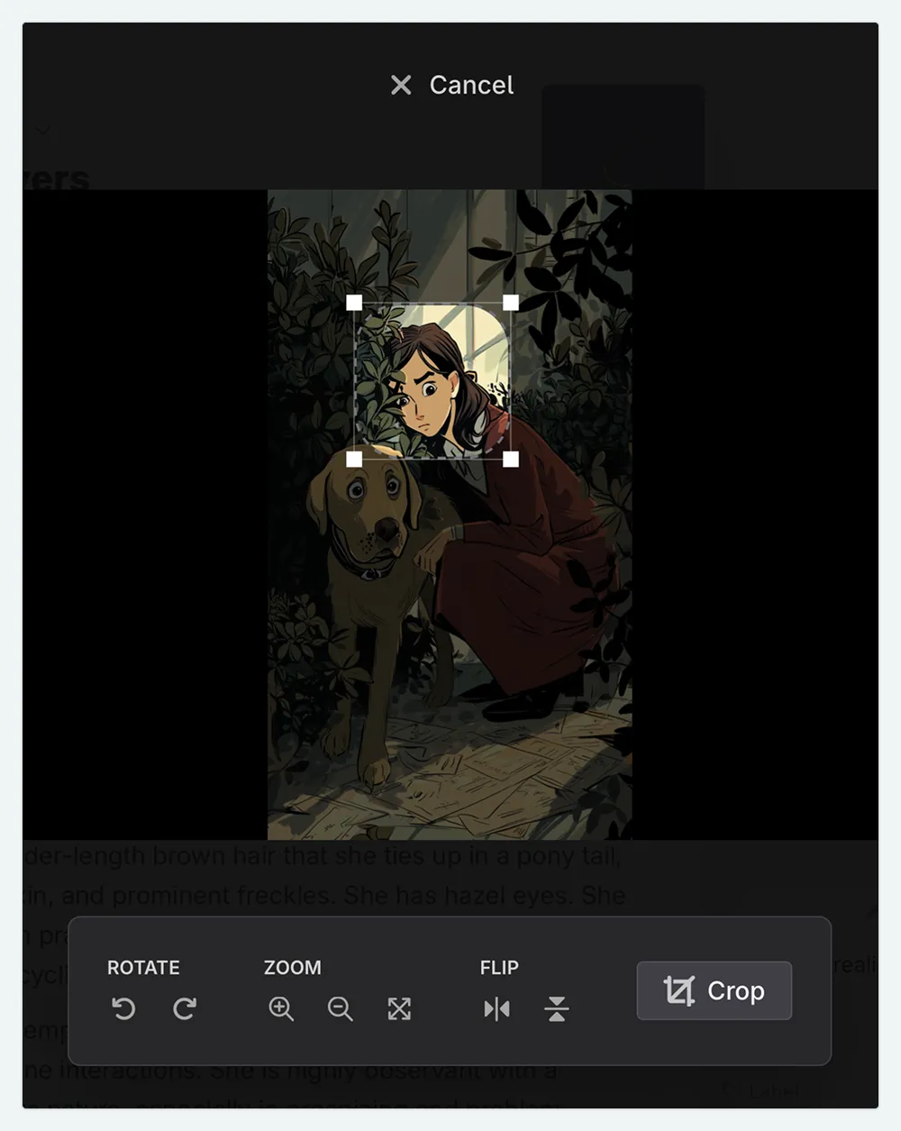 A close up of the image editor, showing the image being cropped
