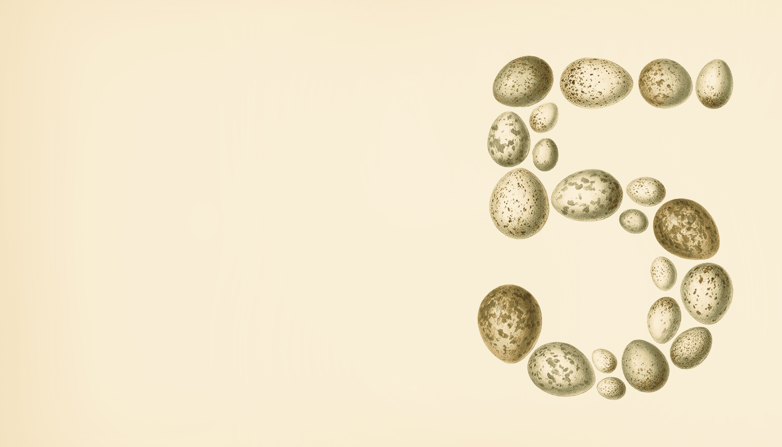 The Opus 5 logo in stones with a pale yellow background. There is text saying 'opus 5 for writing' on the left hand side.